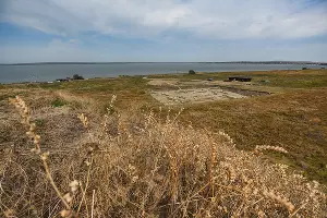 Раскопки в Фанагории &copy;&nbsp;Фото Елены Синеок, Юга.ру