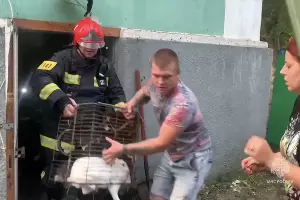  &copy;&nbsp;Кадр из видео пресс-службы ГУ МЧС Ростовской области