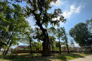  &copy;&nbsp;Фото Дмитрия Пославского, Юга.ру