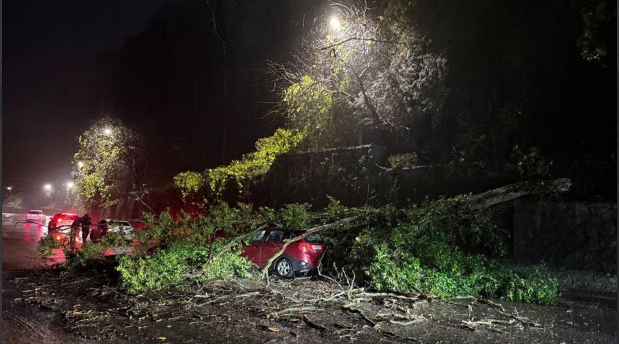  &copy;&nbsp;Скриншот из телеграм-канала &laquo;Погода в Сочи&raquo; https://t.me/sochi_pogoda23/2083