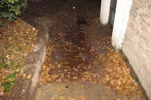 Улица Российская &copy;&nbsp;Фото Дмитрия Воронова, &laquo;Городские решения&raquo;