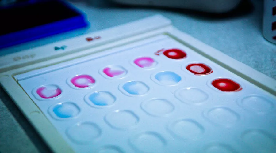 Транспортная полиция сдает кровь &copy;&nbsp;Фото Елены Синеок, Юга.ру