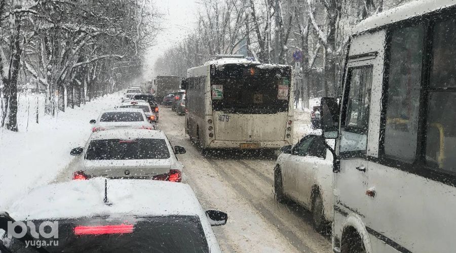  © Фото Анастасии Паньковой, Юга.ру