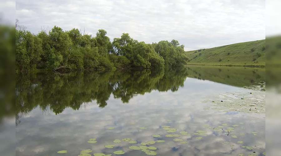 Река Дон &copy;&nbsp;Фото с сайта wikipedia.org