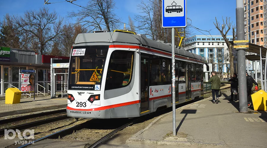  &copy;&nbsp;Фото Елены Синеок, Юга.ру