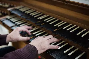  &copy;&nbsp;Фото Елены Синеок, Юга.ру