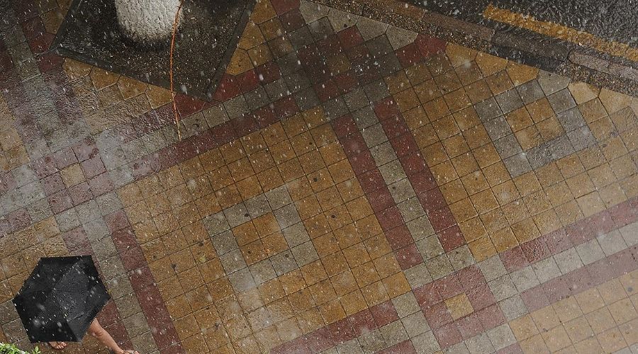  © Фото Михаила Ступина, Юга.ру