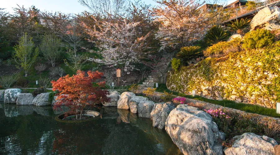 Японский сад «Шесть чувств» в Крыму &copy;&nbsp;Фото Антона Быкова, Юга.ру