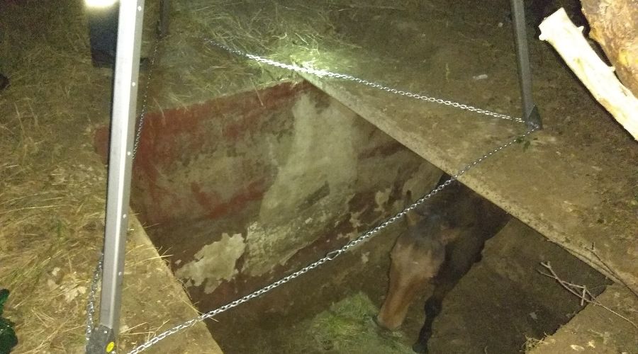  © Фото ГКУ РК «Крым-СПАС»