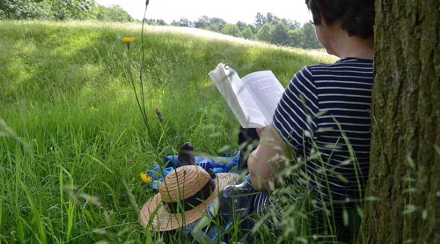  &copy;&nbsp;Фото с сайта pixabay.com