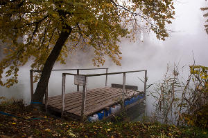 Туман в парке «Солнечный остров» © Фото Елены Синеок, Юга.ру