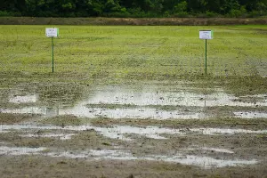  &copy;&nbsp;Фото Елены Синеок, Юга.ру
