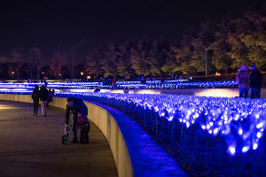 Парк «Краснодар»  с новогодней подсветкой &copy;&nbsp;Фото Елены Синеок, Юга.ру