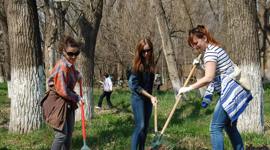 субботник &copy;&nbsp;Фото Юга.ру