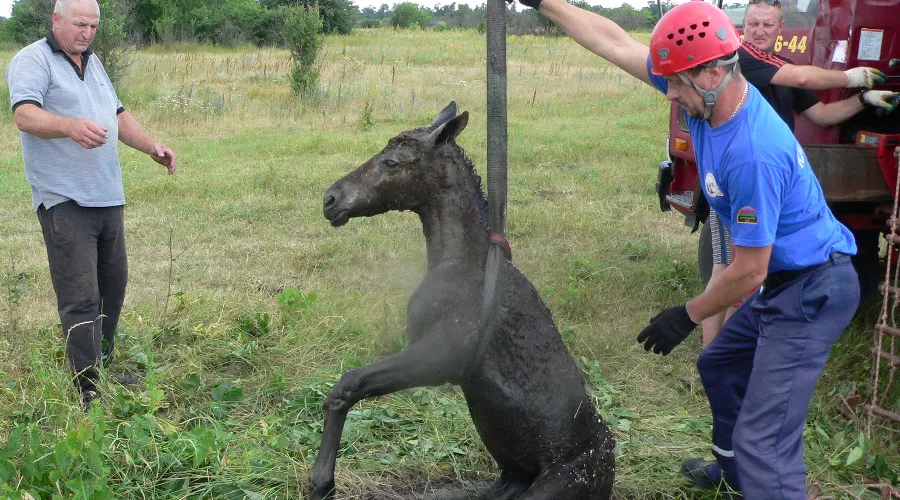  &copy;&nbsp;Фото пресс-службы &laquo;Кубань-СПАС&raquo;