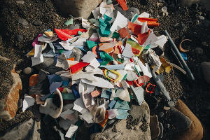  &copy;&nbsp;Фото Глеба Кузнецова