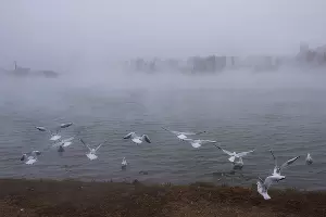  &copy;&nbsp;Фото Елены Синеок, Юга.ру