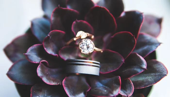  &copy;&nbsp;Фото Heather Mount, unsplash.com