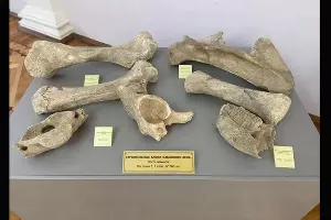  &copy;&nbsp;Скриншот из письма от музея– заповедника им. Е.Д. Фелицына