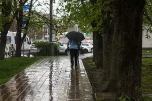 Дождь в Краснодаре &copy;&nbsp;Фото Елены Синеок, Юга.ру