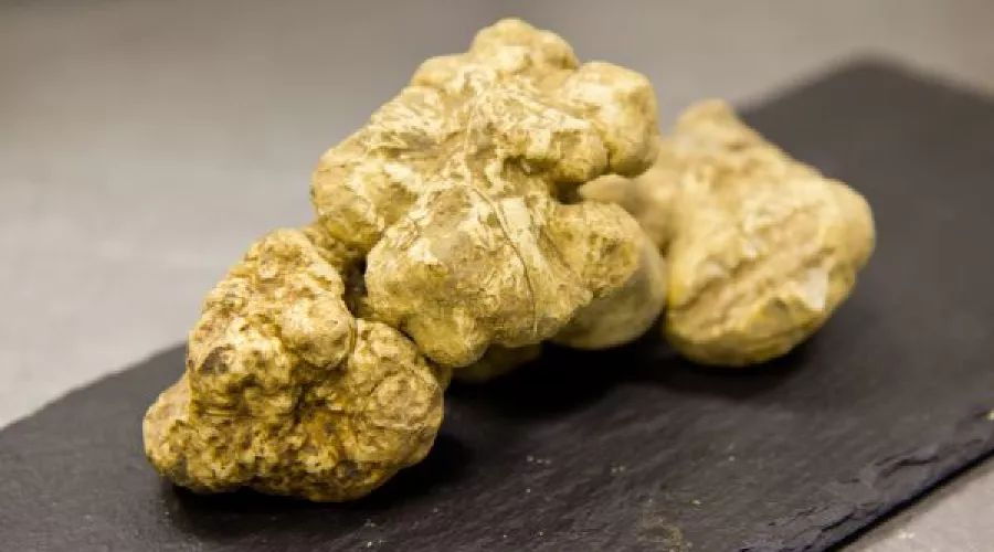  &copy;&nbsp;Фото с сайта restoclub.ru