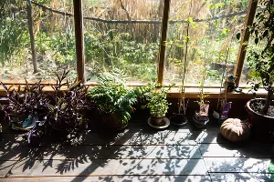 В мастерской Алексея Паршкова &copy;&nbsp;Фото Елены Синеок, Юга.ру