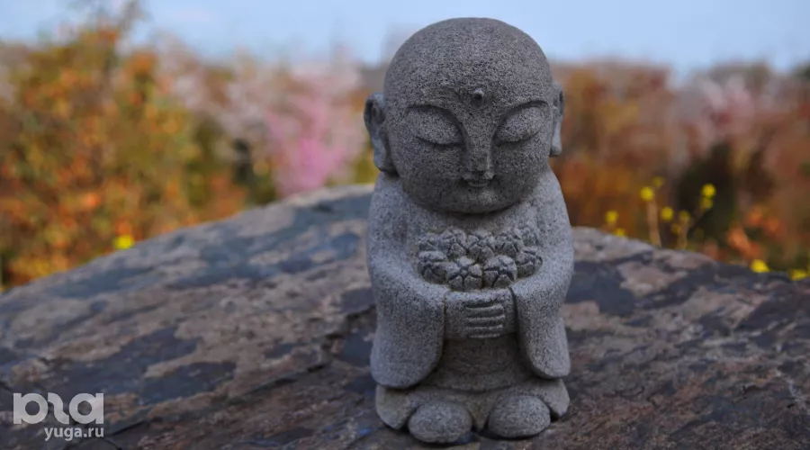  &copy;&nbsp;Фото Марины Солошко, Юга.ру