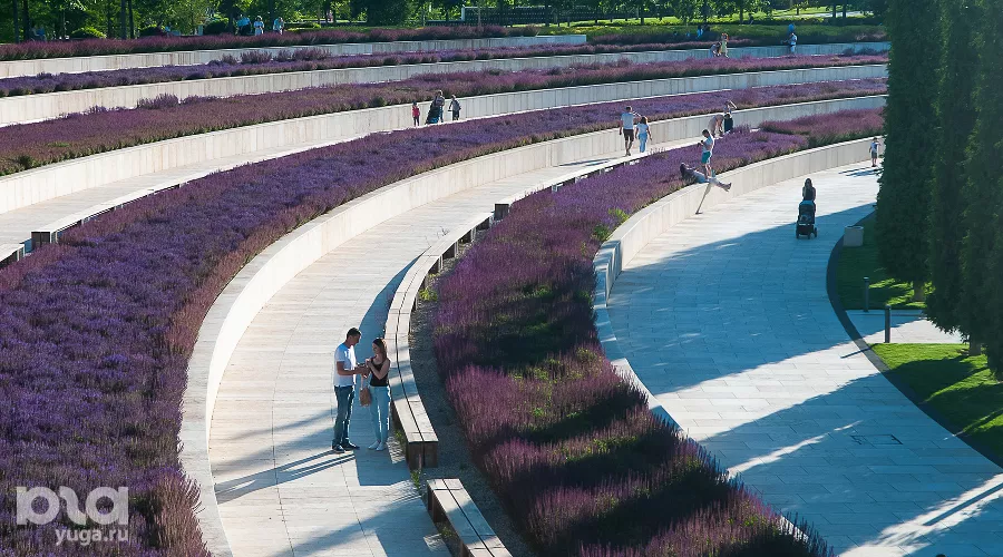  &copy;&nbsp;Фото Дмитрия Леснова, Юга.ру