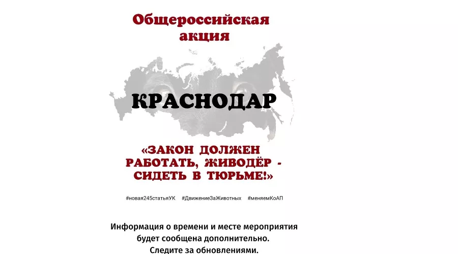  &copy;&nbsp;Фото со страницы &laquo;ВКонтакте&raquo; &laquo;КРАСНОДАР. Акция "Закон должен работать!"&raquo;, https://vk.com/event46698996