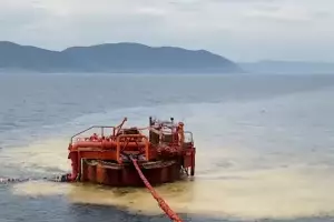  &copy;&nbsp;Скриншот видео из инстаграма руководителя Росприроднадзора Светланы Радионовой, instagram.com/_svetlana__radionova_/