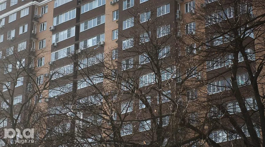  &copy;&nbsp;Фото Елены Синеок, Юга.ру