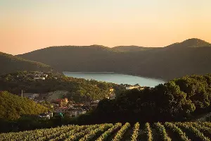  &copy;&nbsp;Фото пресс-службы &laquo;Абрау-Дюрсо&raquo;