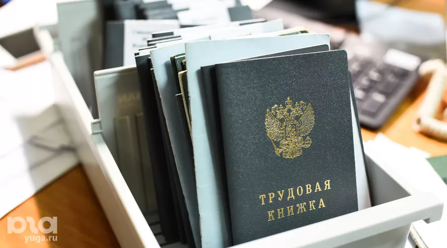 Трудовая книжка &copy;&nbsp;Фото Елены Синеок, Юга.ру
