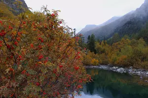  &copy;&nbsp;Фото Марины Солошко, Юга.ру