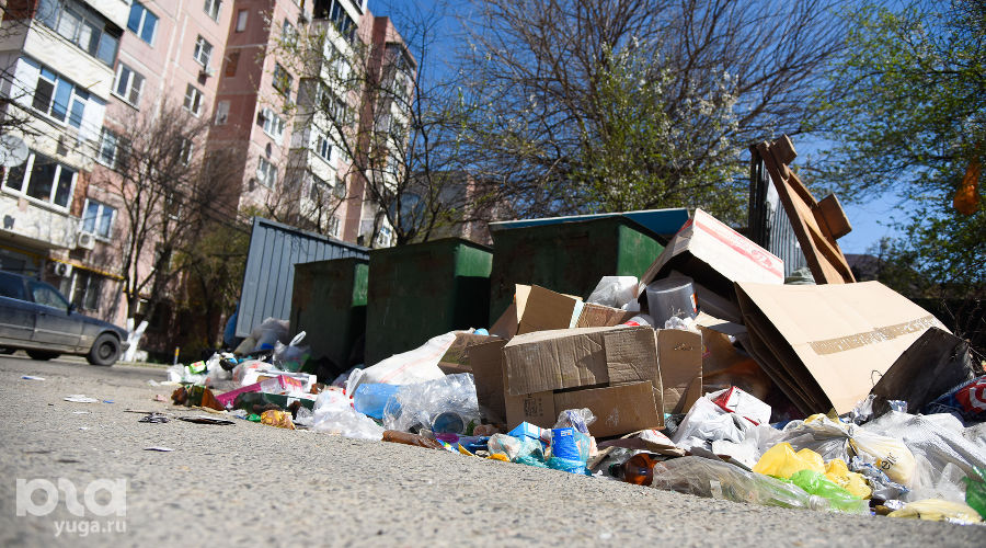 Проблемы с вывозом мусора в Краснодаре © Фото Елены Синеок, Юга.ру