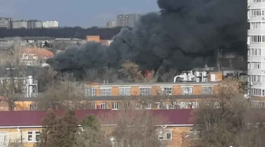  &copy;&nbsp;Скриншот видео из телеграм-канала &laquo;Типичный Краснодар&raquo;, tmtr.me/krd_tipich_ru/21635