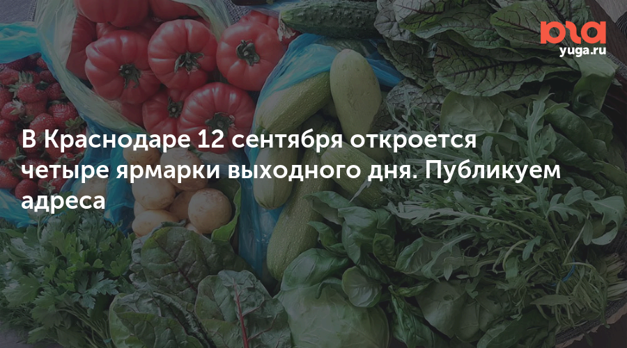 В Краснодаре 12 сентября откроется четыре ярмарки выходного дня. Публикуем адреса