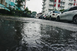  © Фото Елены Синеок, Юга.ру