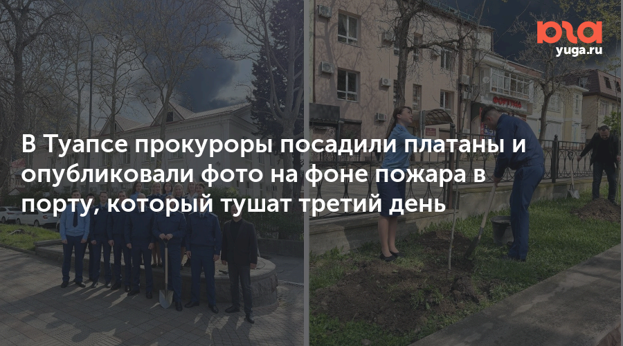 В Туапсе прокуроры посадили платаны и опубликовали фото на фоне пожара в порту, который тушат третий день