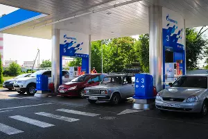  &copy;&nbsp;Фото Елены Синеок, Юга.ру