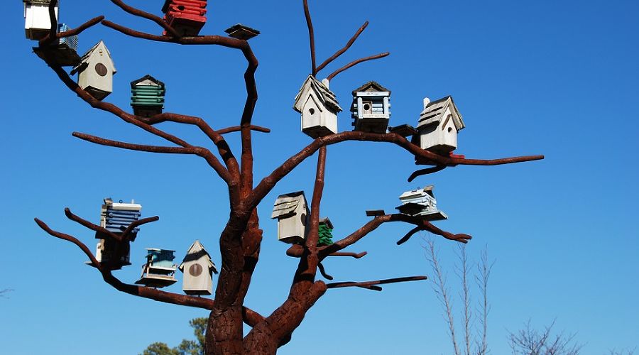  &copy;&nbsp;Фото с сайта pixabay.com