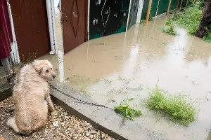  &copy;&nbsp;Фото Антона Подгайко, Юга.ру