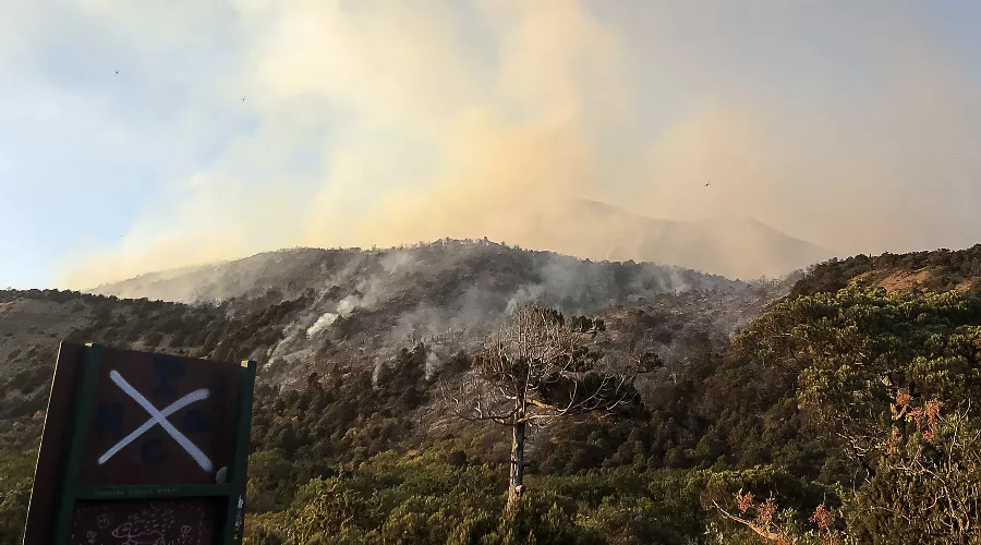 Пожар в заповеднике «Утриш» &copy;&nbsp;Фото Виталия Кавтарадзе