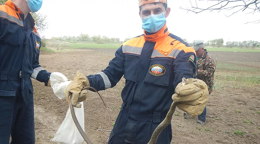  &copy;&nbsp;фото пресс-службы &laquo;Кубань-СПАС&raquo;