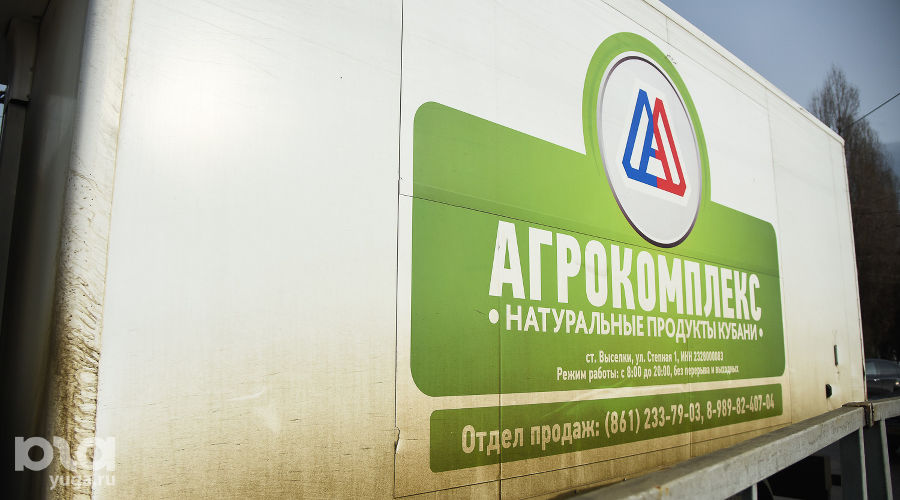  &copy;&nbsp;Фото Елены Синеок, Юга.ру