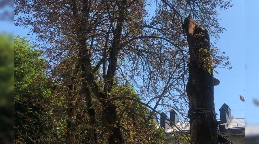  &copy;&nbsp;Фото пресс-службы администрации Краснодара