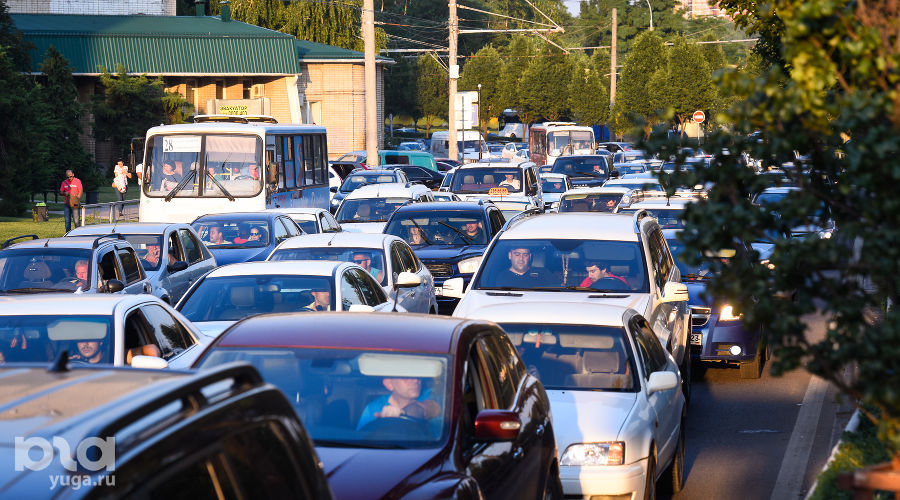  © Фото Елены Синеок, Юга.ру