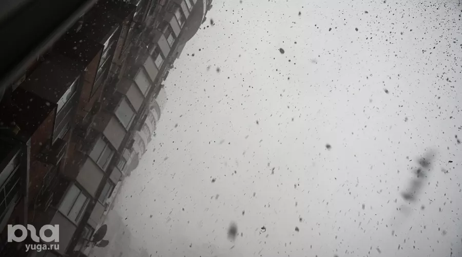  &copy;&nbsp;Фото Елены Синеок, Юга.ру