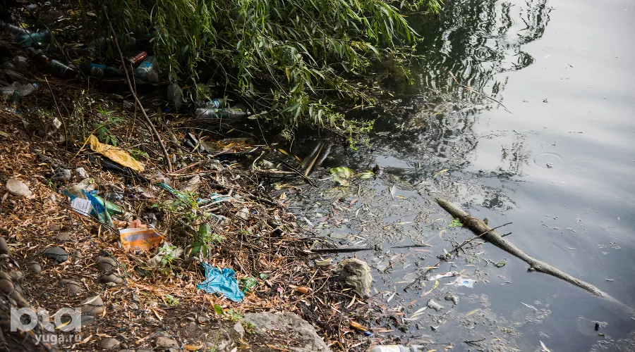  &copy;&nbsp;Фото Елены Синеок, Юга.ру