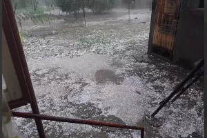  &copy;&nbsp;Скриншот из телеграм-канала Андрея Волненко https://t.me/volnenkoav/3205